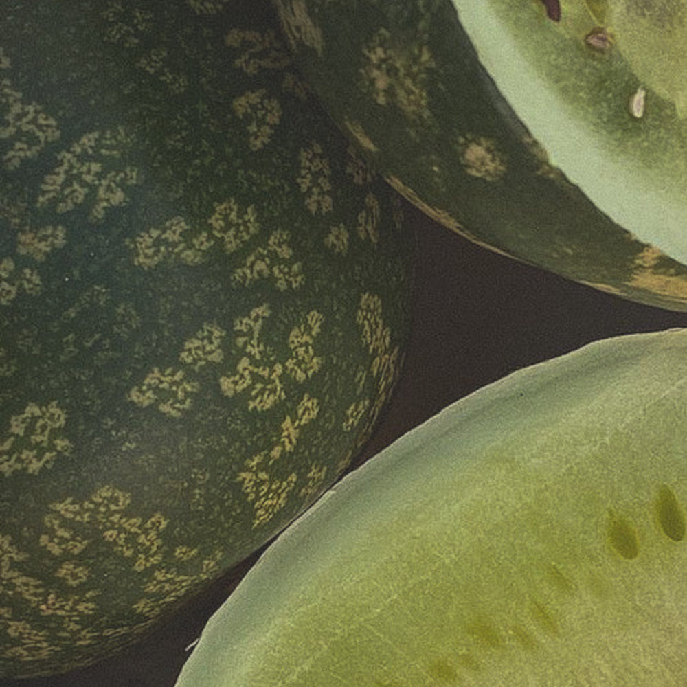 QUELLE EST LA MEILLEURE HUILE VÉGÉTALE POUR MON VISAGE ?