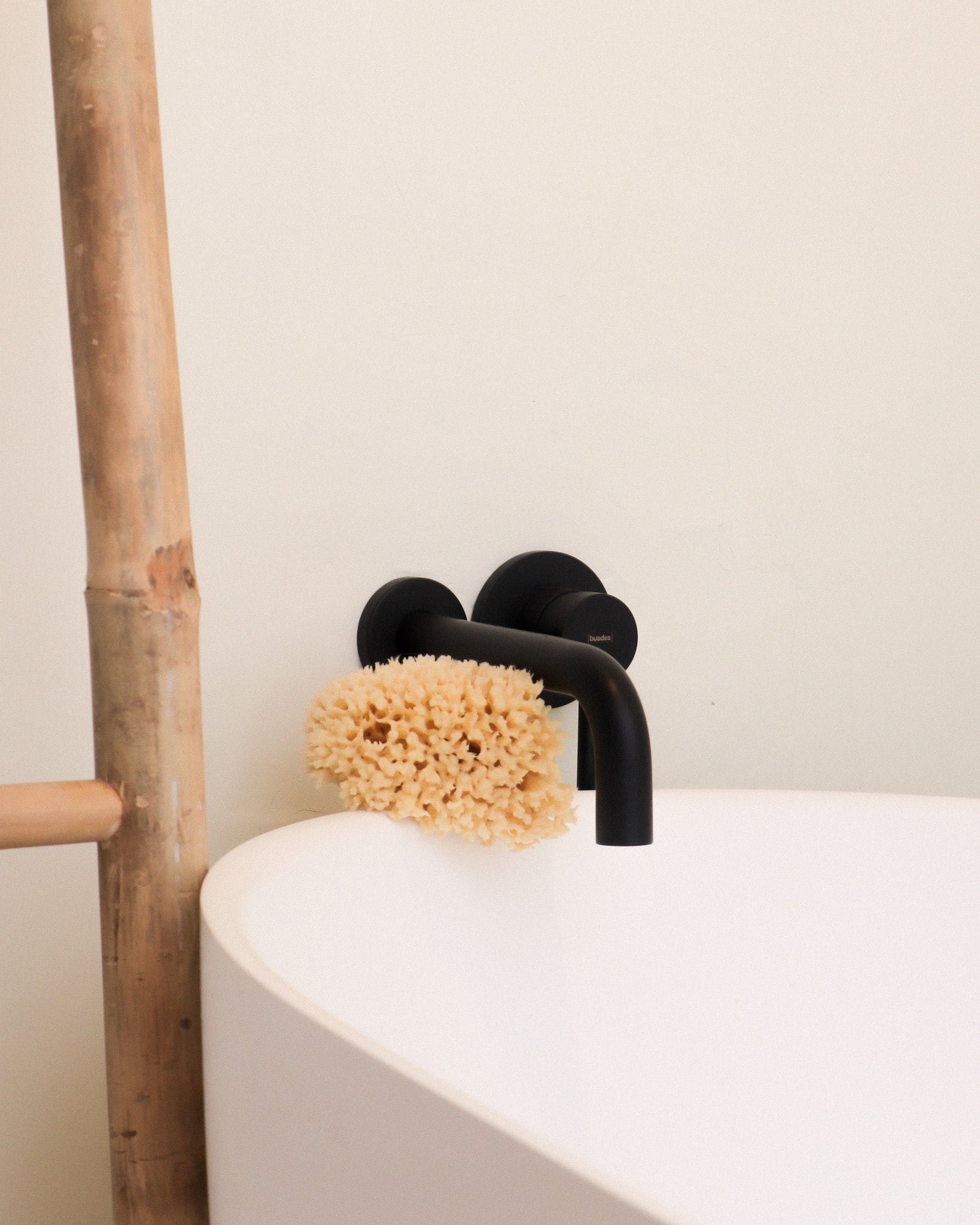 Éponge de mer naturelle : bienfaits, usages et conseils