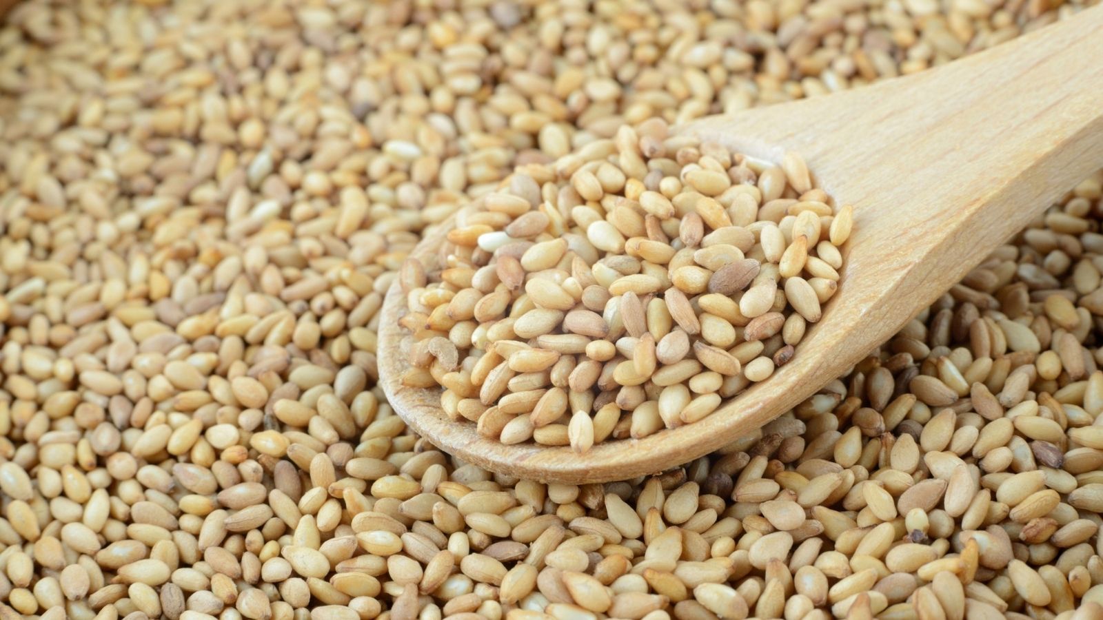 L’huile de sésame en cosmétique naturelle