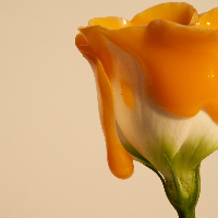 Comment appliquer un masque visage ? 