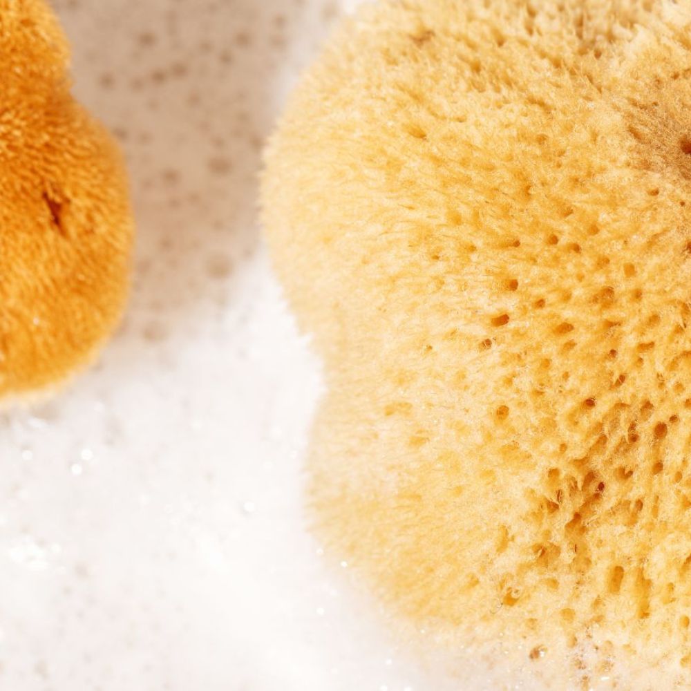 Comment nettoyer une éponge de mer 