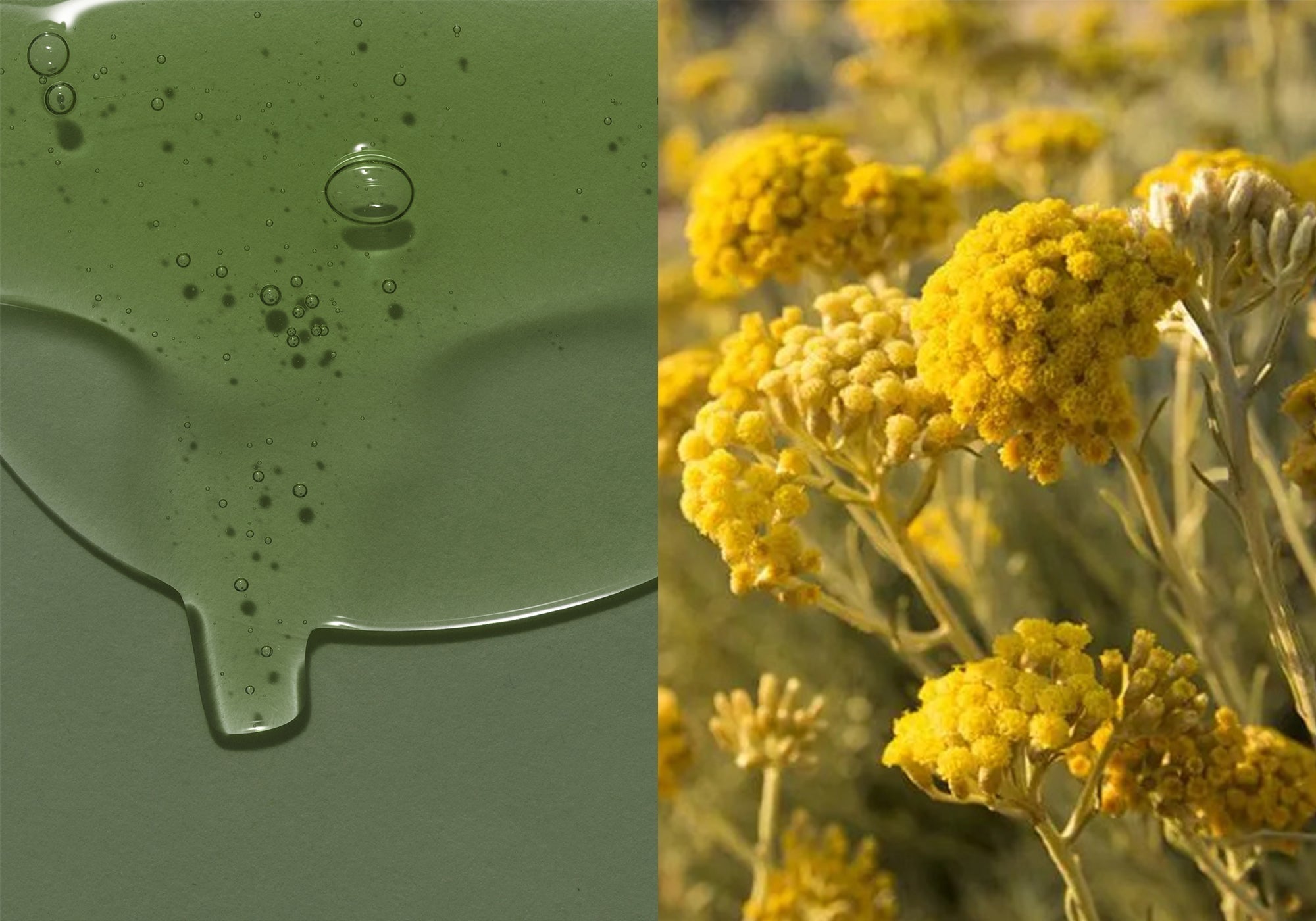 Les meilleurs anti-rides naturel puissant pour votre peau